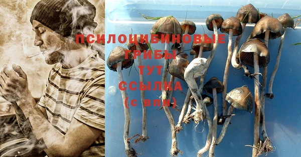 марки lsd Заводоуковск