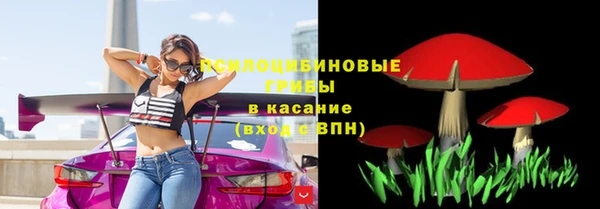 эйфоретик Заволжье