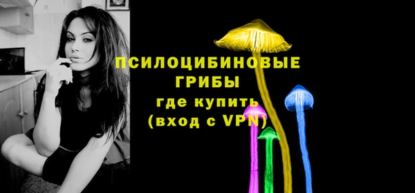 эйфоретик Заволжье