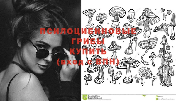 марки lsd Заводоуковск