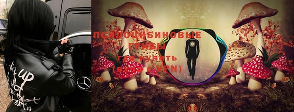 марки lsd Заводоуковск